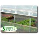 Serra FullGreen 6m professionale tunnel agricolo