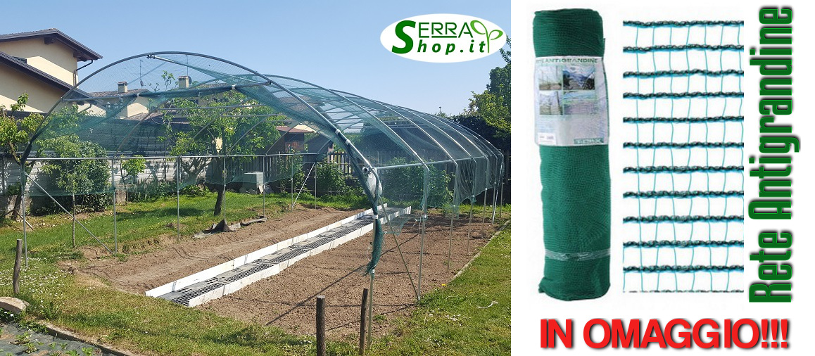 serra professionale a tunnel fullgreen con rete antigrandine