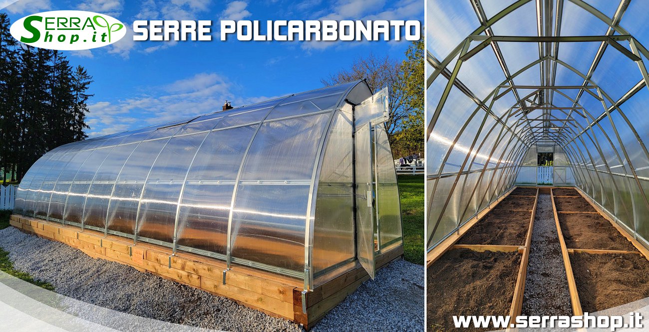 serra in policarbonato tunnel premium con rinforzi  larghezza 3m per orto e giardino