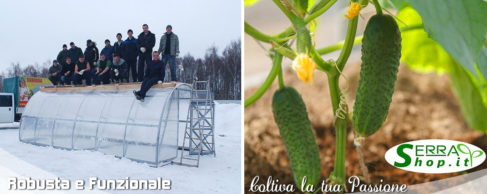 serra tunnel arco policarbonato per orto e giardino